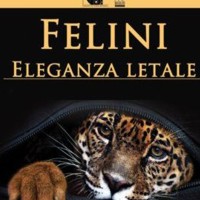 Felini, eleganza letale