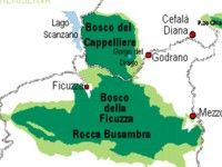 foto Riserva naturale orientata Bosco della Ficuzza Palermo