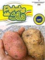 The potato Sila