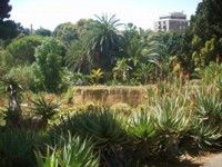 Orto Botanico di Cagliari