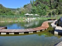 Thermal pools - Sasso Pisano