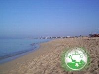 foto Bandiera verde alla spiaggia di Signorino, Marsala