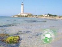 foto Bandiera verde alla spiaggia di Torretta Ganitola, Trapani