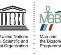 Finanziamenti per giovani ricercatori Unesco
