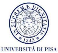 foto Università Pisa, eccellenza nella ricerca
