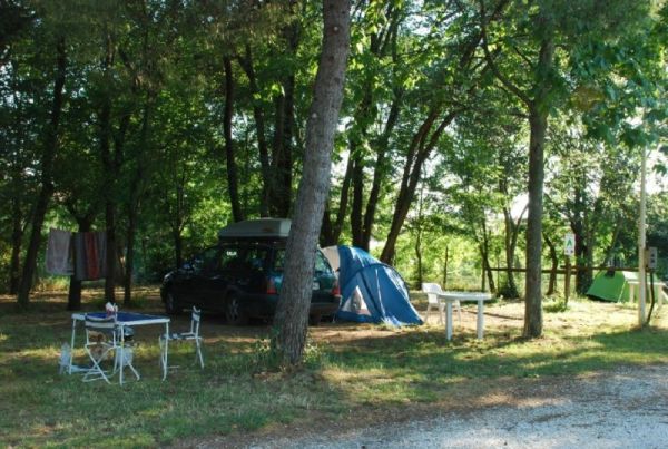 foto Campingplatz